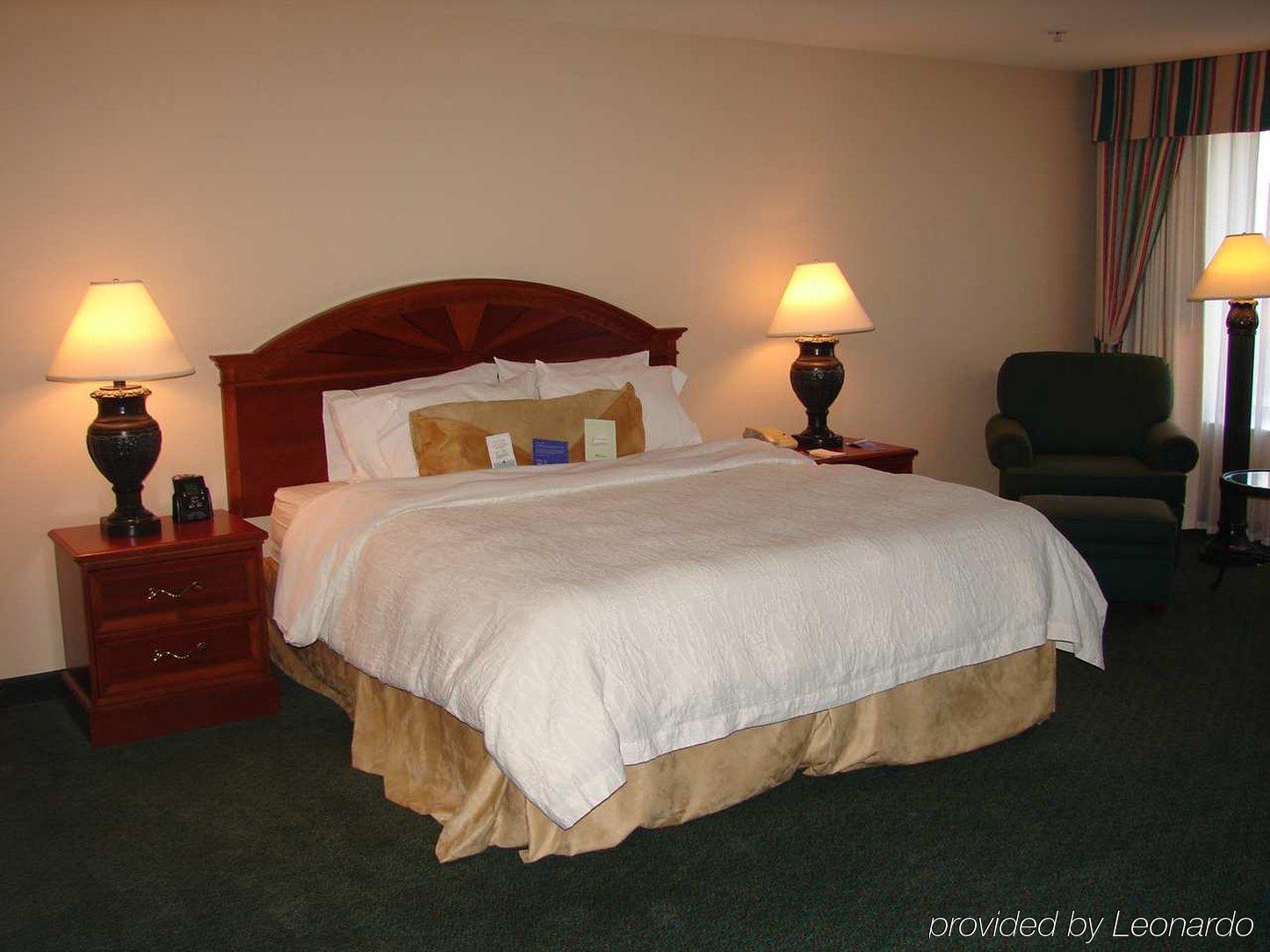 Hilton Garden Inn Baton Rouge Airport Kamer foto